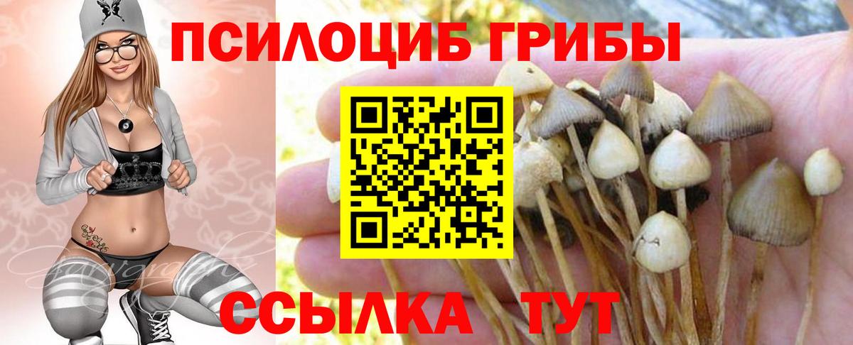 Галлюциногенные грибы MAGIC MUSHROOMS  купить наркотики сайты  Саранск  Вход с VPN 